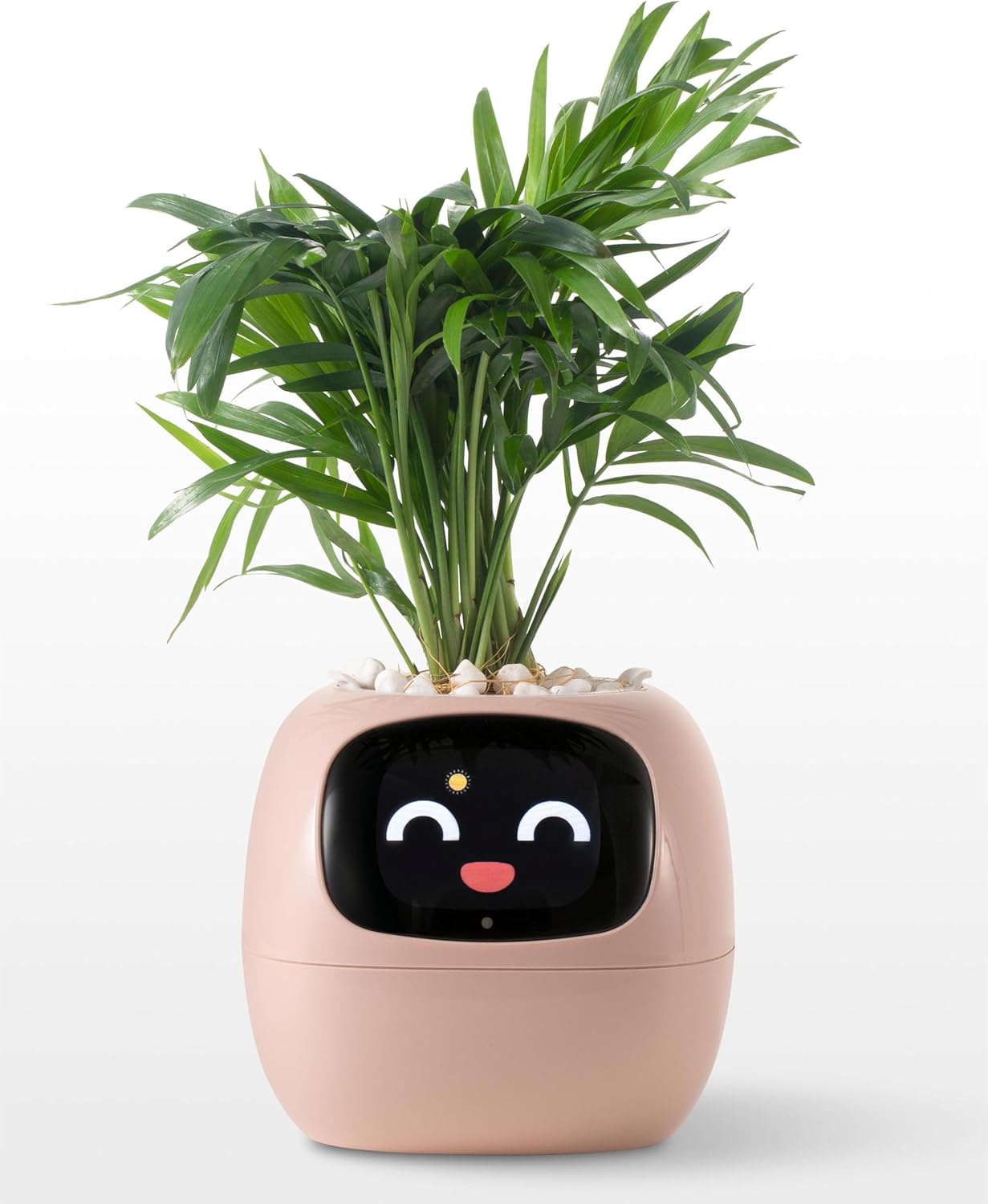 智慧電子盆栽|Smart Electronic Pots