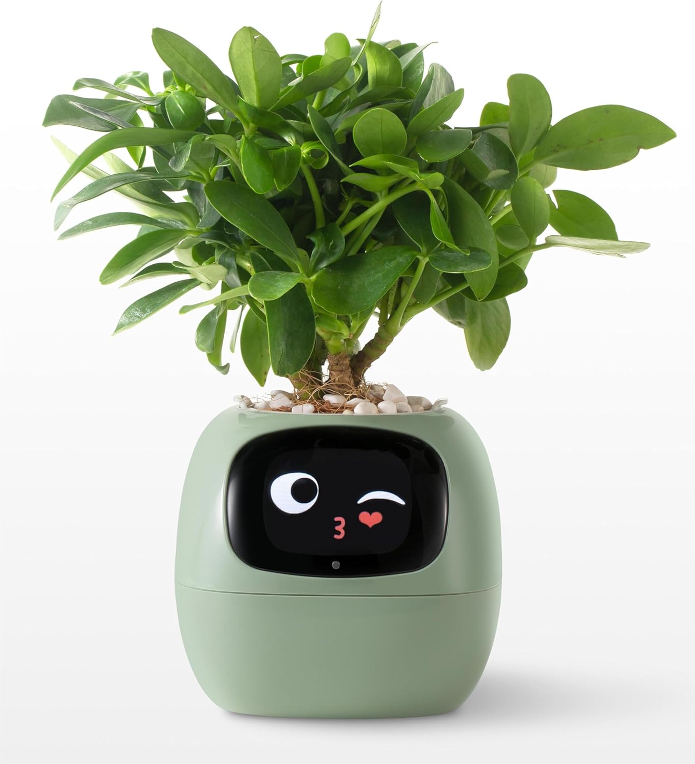 智慧電子盆栽|Smart Electronic Pots