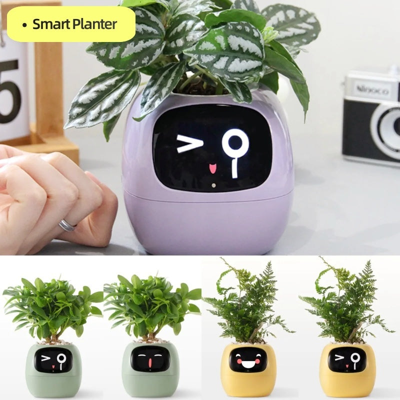 智慧電子盆栽｜Smart Electronic Pots