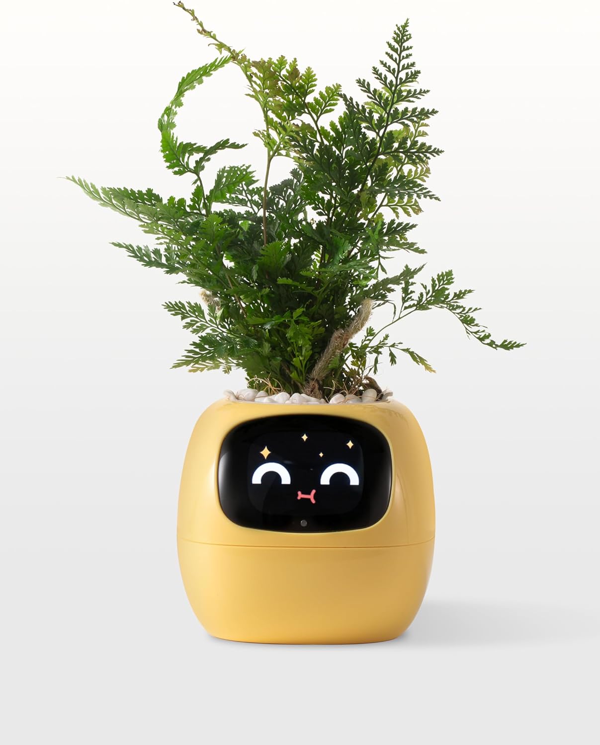 智慧電子盆栽｜Smart Electronic Pots