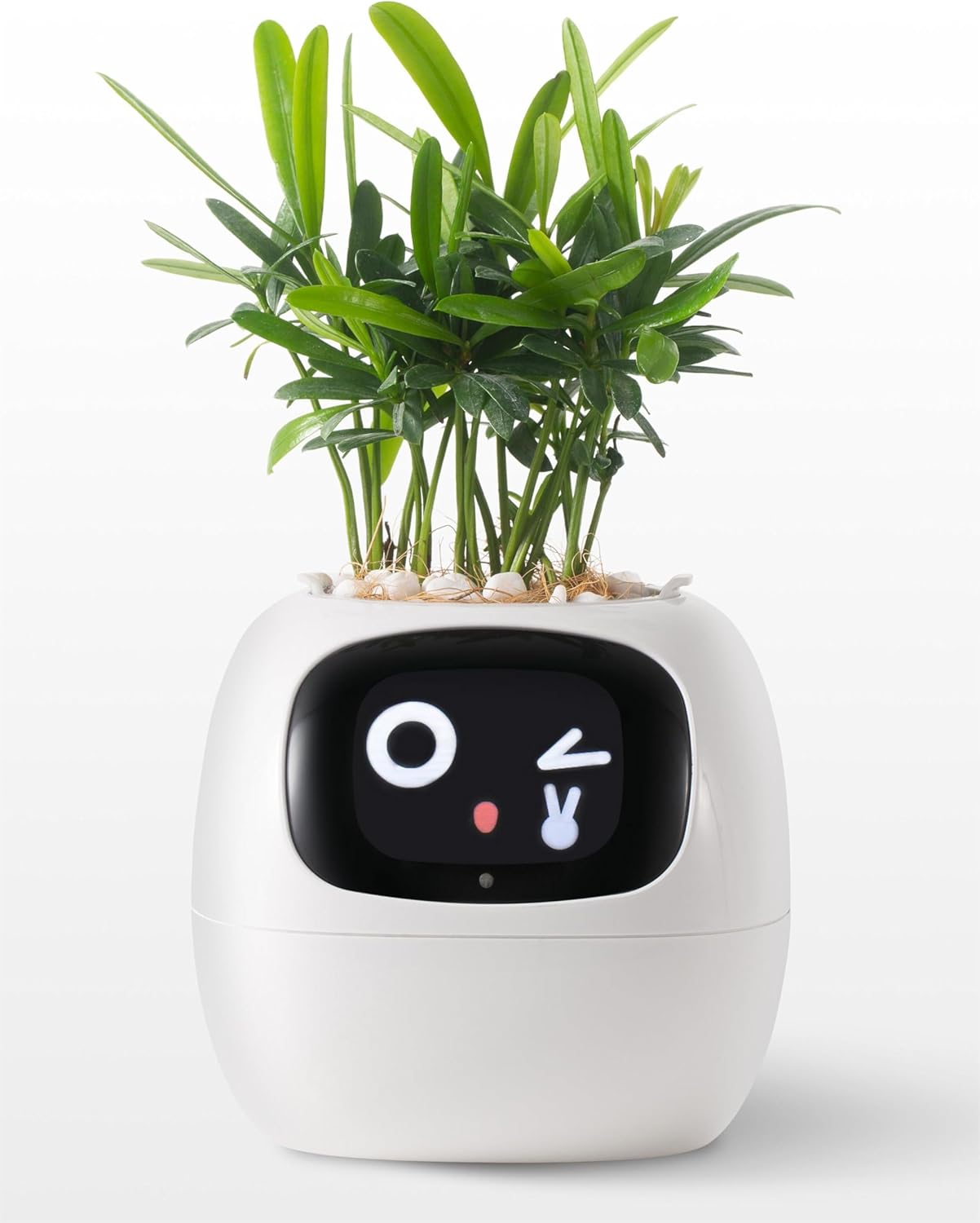 智慧電子盆栽｜Smart Electronic Pots