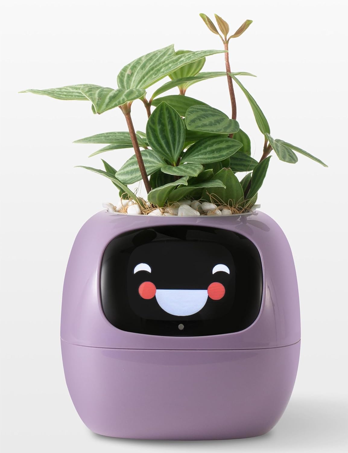 智慧電子盆栽｜Smart Electronic Pots