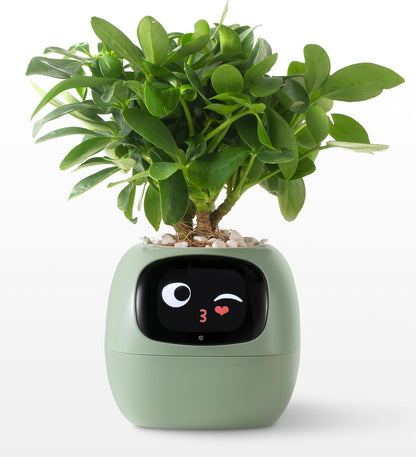 智慧電子盆栽｜Smart Electronic Pots